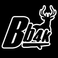 Bb4k Software Labs Avatar