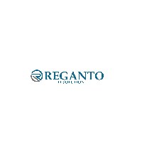 RegantoITsolution Avatar