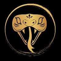 Ouroboros Seeker Avatar