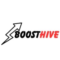 BoostHive Avatar