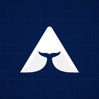 BeAWhale Avatar