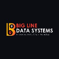 Big Line Data Systems Avatar