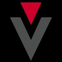 DirectiveGroup, Inc. Avatar