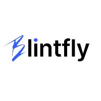 Blintfly - Web Developent & Design Avatar
