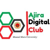 Data Experts, Ajira Digital Avatar
