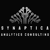 Synaptica Analytics Consulting LTD Avatar
