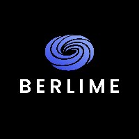 Berlime Solutions Avatar