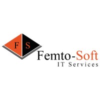 Femto-Soft IT Services Avatar