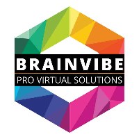 BRAINVIBE PRO VIRTUAL SOLUTIONS LLP Avatar