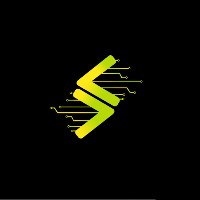 Singularity AI Labs Avatar