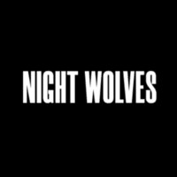 Night Wolves Studio Avatar