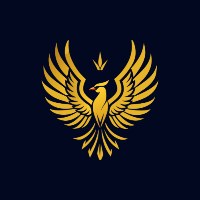 Soar Solutions Avatar