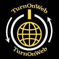 TurnOnWeb Solutions Avatar