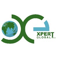 Xpert Global Tech Avatar