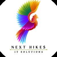 Next Hikes IT Solutions Avatar