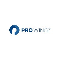 Prowingz Avatar