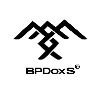 Bootstrap Paradox OPC Pvt. Ltd. Avatar