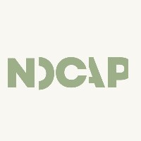 NoCap Avatar