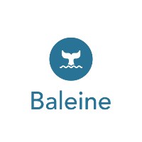 Baleine Marketing Avatar