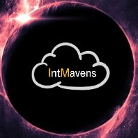 IntMavens Infotech Pvt. Ltd. Avatar