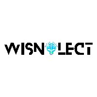 Wisnolect Technologies Pvt Ltd Avatar