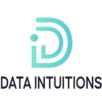 Data Intuitions Avatar