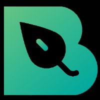 Best Virtual Solutions Avatar