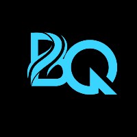 Beta Quants Avatar