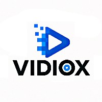 Vidiox Media Avatar