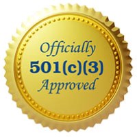 The Non-Profit Hub & 501c3 Express Avatar