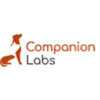 Companion Labs Avatar