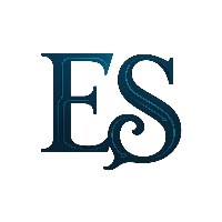 Everstone Technologies Avatar