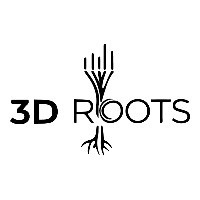 3D Roots Avatar