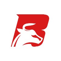 BigBull Technologies Avatar