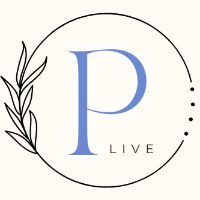 Plive Creation Avatar