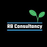 RB Consultancy Avatar