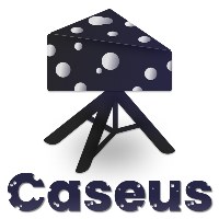 Caseus Studio Avatar