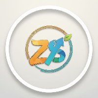 Zest Studio Avatar