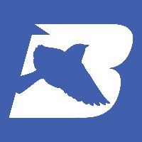 BluBird Integrated Services Avatar
