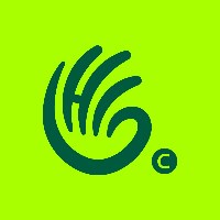 HiPortfolio © Avatar
