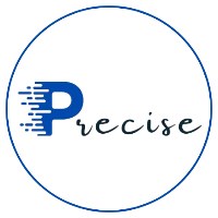 Precise Web Marketing Avatar