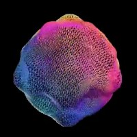 Supervisual.ai Avatar