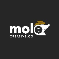 Mole Creative Agency  Avatar