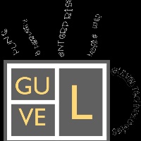Gulvel Technologies Avatar