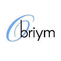 OBRIYM — Full-Cycle Web Agency | Design, Development & AI | Next.js, Qwik, Svelte, Node.js, TypeScript, Cloud, E-commerce, SaaS, PWA Avatar