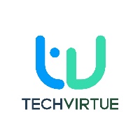 Techvirtue Infotech Avatar