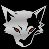 Silverfox Avatar