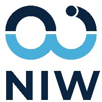 NIW Avatar