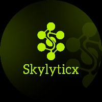 Skylyticx Digital Marketing Agency Avatar