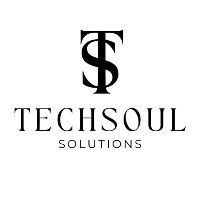 Techsoul Solutions Avatar